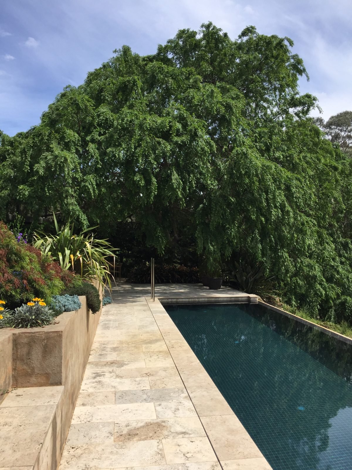 Clear pool ready for the weekend — Townsville & rural NQ service