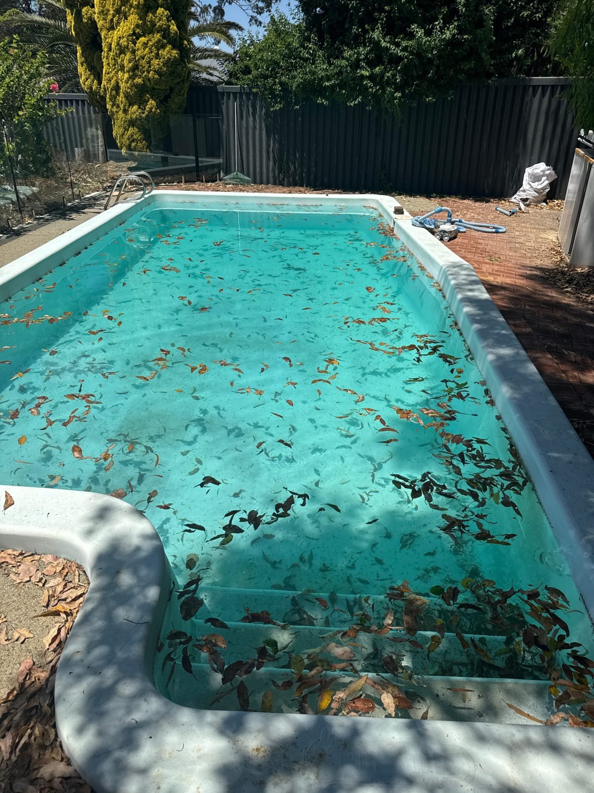 Before: heavy algae or neglected water